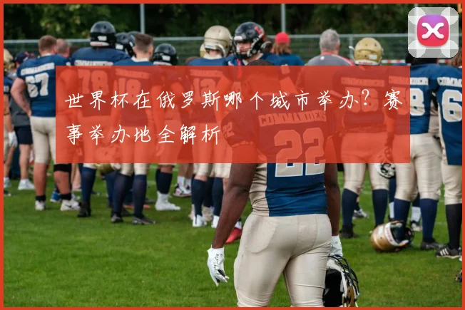 世界杯在俄罗斯哪个城市举办?赛事举办地全解析