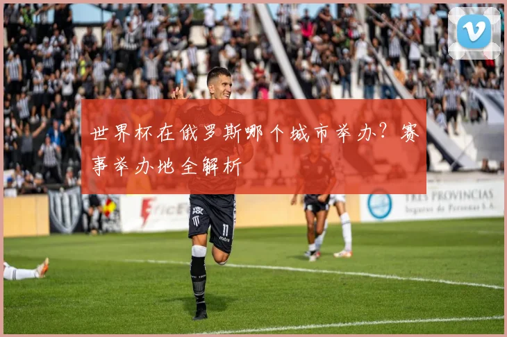 世界杯在俄罗斯哪个城市举办?赛事举办地全解析