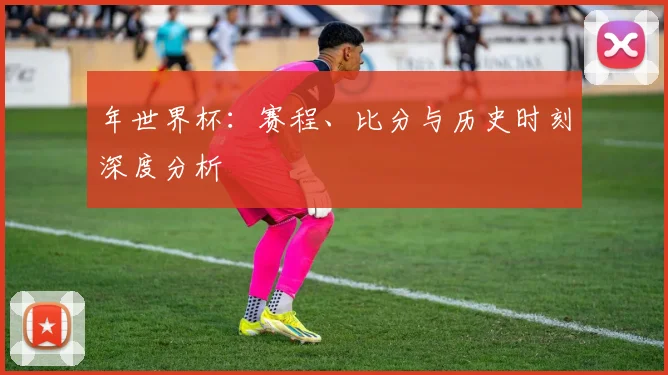 年世界杯:赛程、比分与历史时刻深度分析