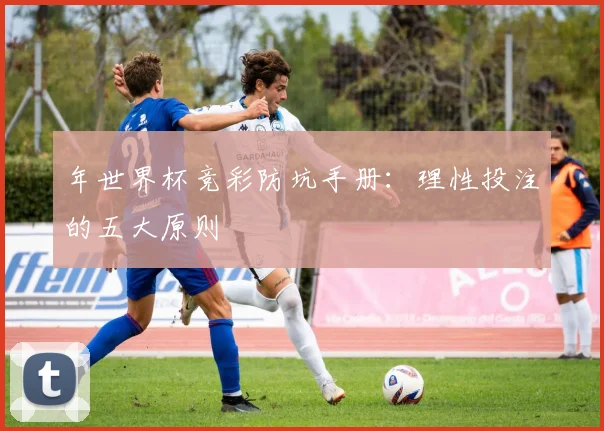 年世界杯竞彩防坑手册：理性投注的五大原则